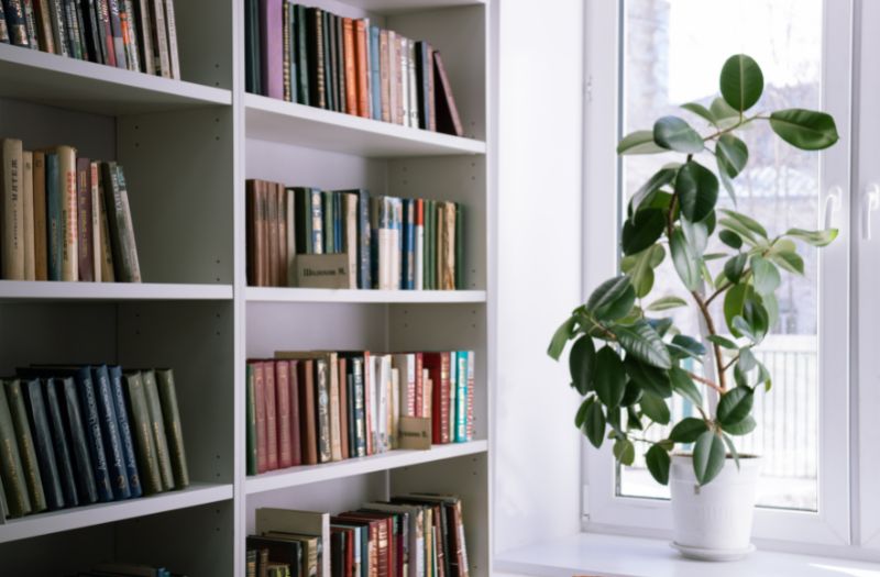 bookshelves used a room divider at home with a plant beside a window